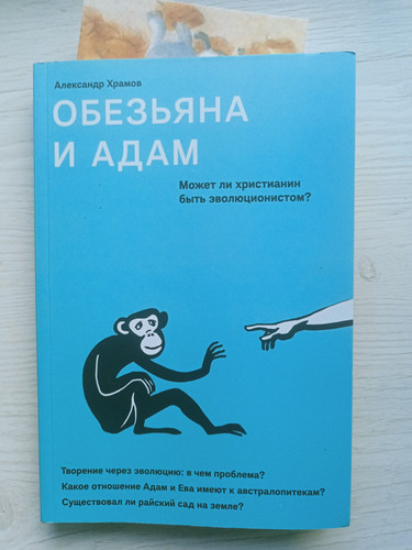 1000044541.jpg
