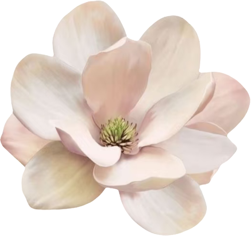retouch 2026051713085116.png