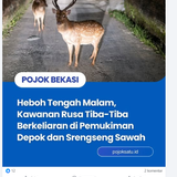 Screenshot 7.png