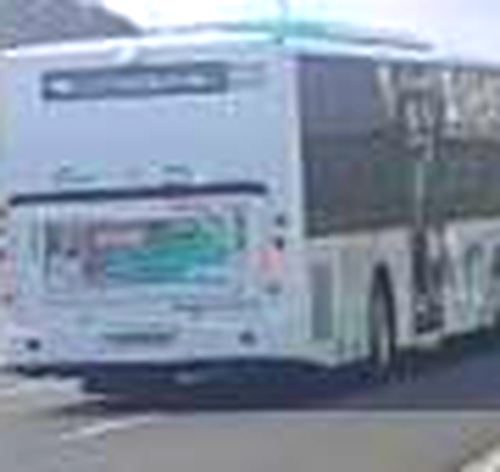 bus rear.png