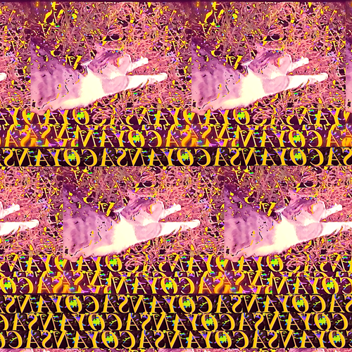 cae49c6d7561.png