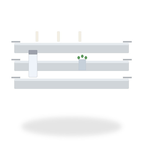 shelf main.1