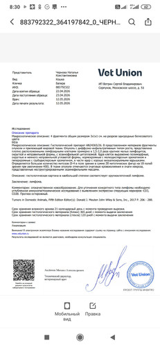 Screenshot 2026 05 17 08 30 47 594 cn.wps.xiaomi.abroad.lite.1