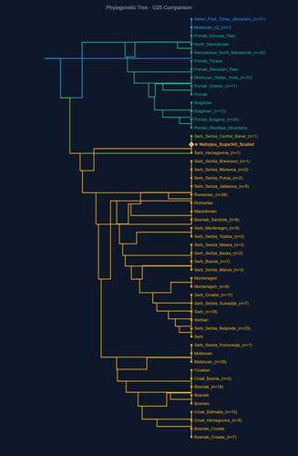 dendrogram Nebojsa Superkit Scaled.2