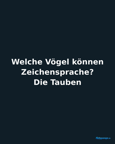 welche v ogel k onnen zeichensprache die tauben ig.1