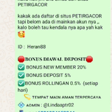 image.2