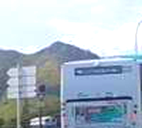 signcrop2.2