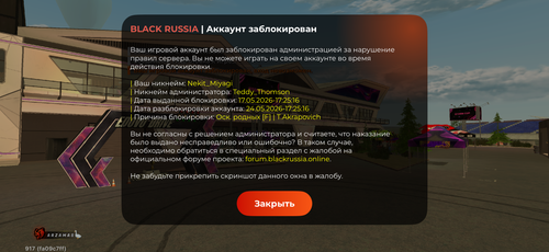 IMG 5939.png