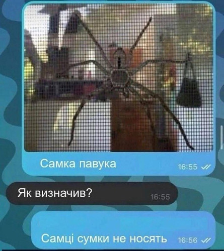 file 216.jpg