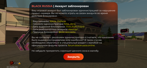 IMG 6684.png