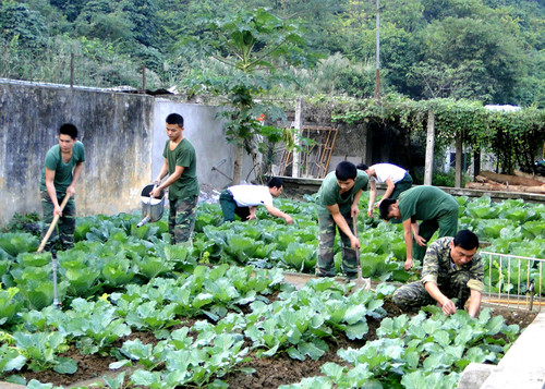day manh tang gia 2 20230222153255.jpg