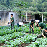 day manh tang gia 2 20230222153255