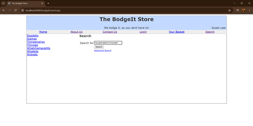12 reflected xss before alert fires.png