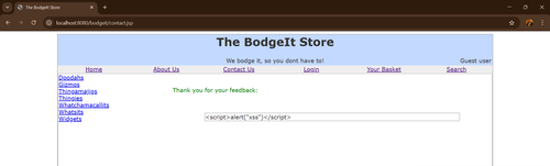 15 reflected xss after all chars encoded.png