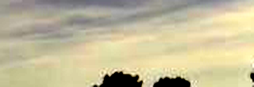 rb sign3.png