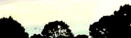 road bboard1.png