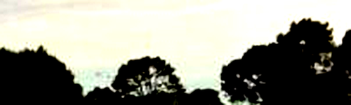 road bboard3.png