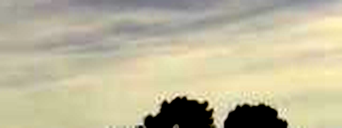 rb tight1.png