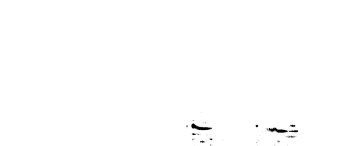 lb tight1 adp.png