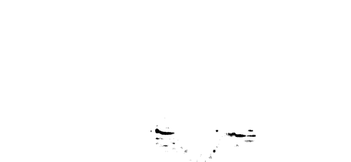 lb tight2 adp.png