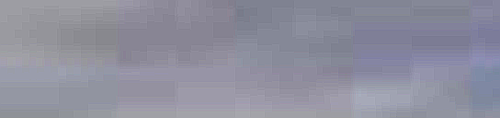 center micro1.png