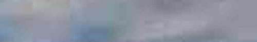 lb micro2.png