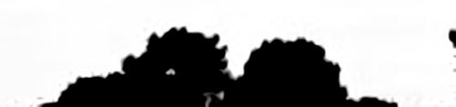 rb low1 gray.png