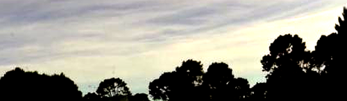 pan right low.png