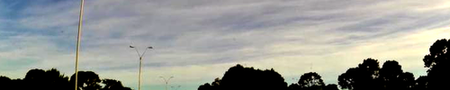 pan center low.png