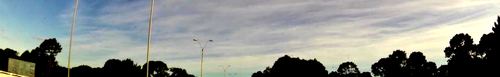 pan full low.png