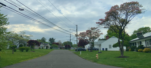 IMG 4719.jpg