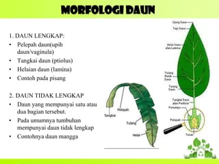 GAMBAR DAUN.webp