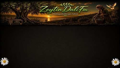 saplon23.jpg