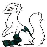 chiton