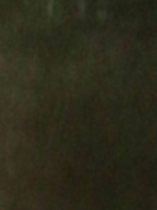 temp.png