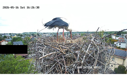 MWSnap955.jpg