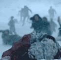 IMG 2413.gif