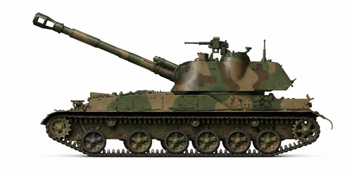 2s1 ..gvozdika...