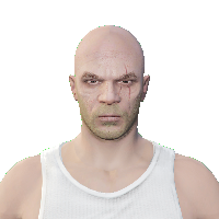 18849372478e.png