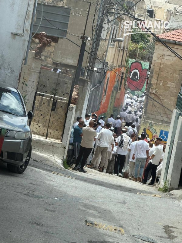 مستوطنون يقتحمون حي بطن الهوى ببلدة سلوان جنوب المسجد الأقصى المبارك...