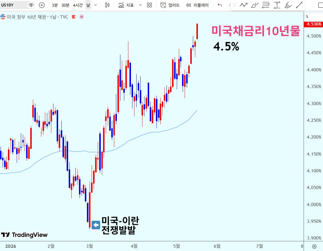 시장 동향