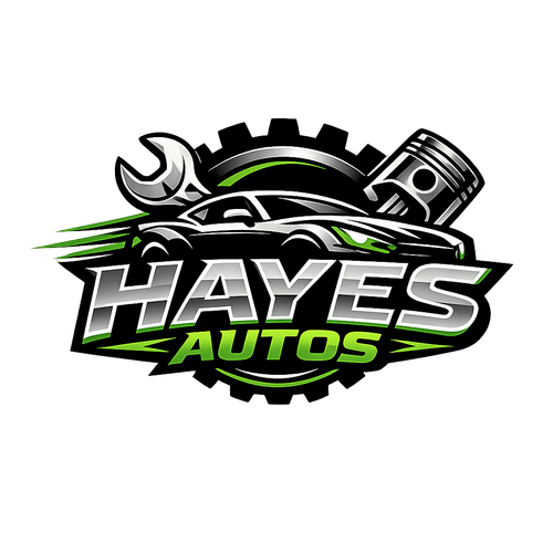 LOGO HAYES.png