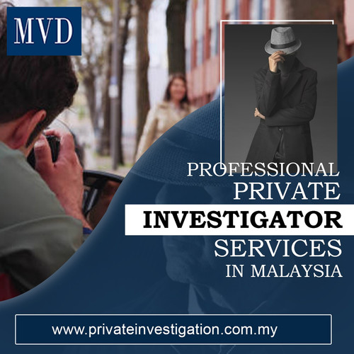 Professional Private Investigator Services in Malaysia.jpg