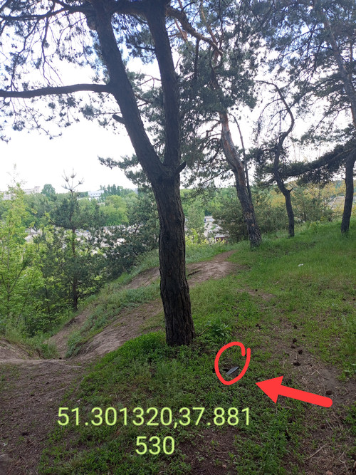 1000009393.jpg