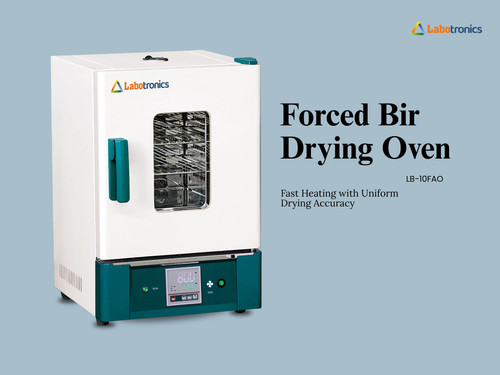 Forced air drying oven LB 10FAO.jpg