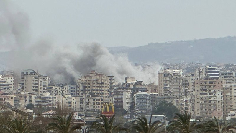 صورة الخبر