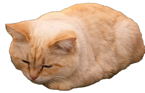 83d1923c4aaf.png