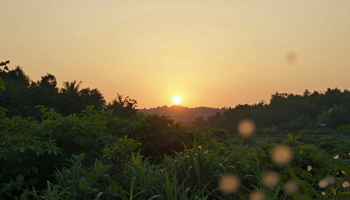 a258e715e28d.jpg