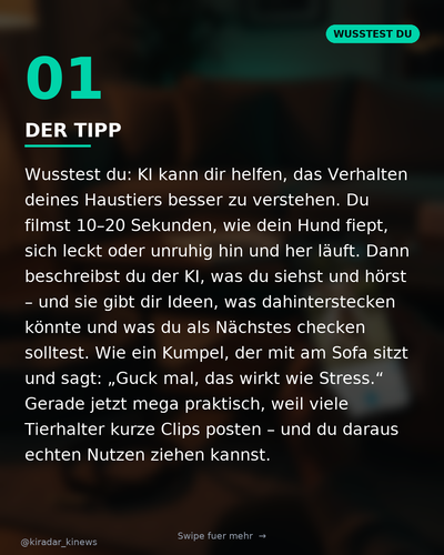 02 info.png