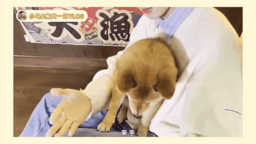 1000102347.gif